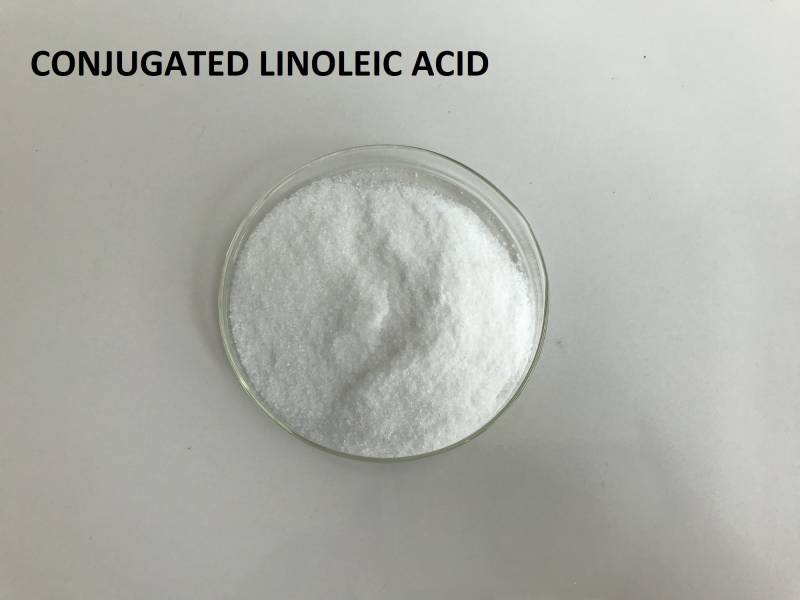 Conjugated linoleic acid