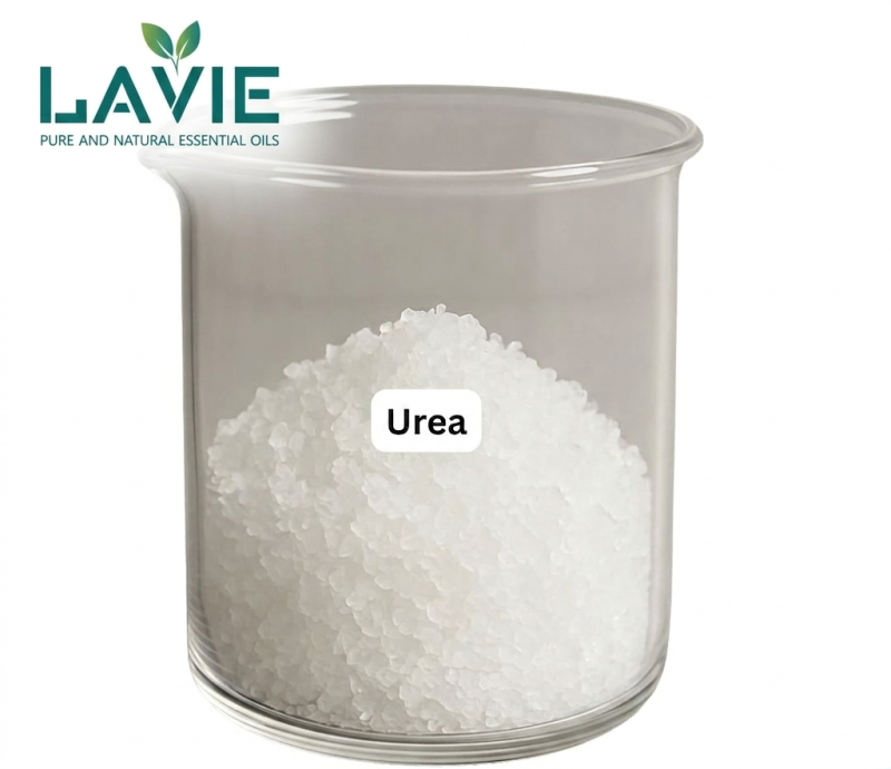 UREA