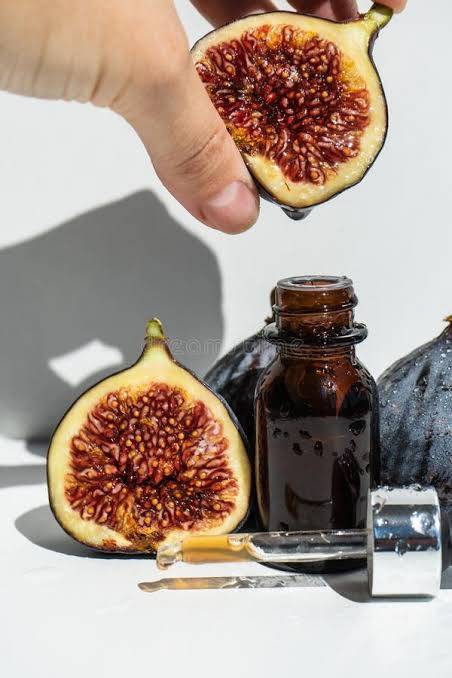 Fig seed oil - india