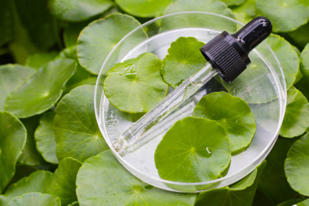 Centella Oil