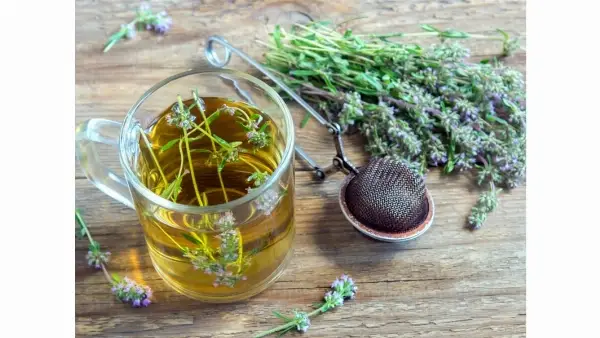 Thyme extract