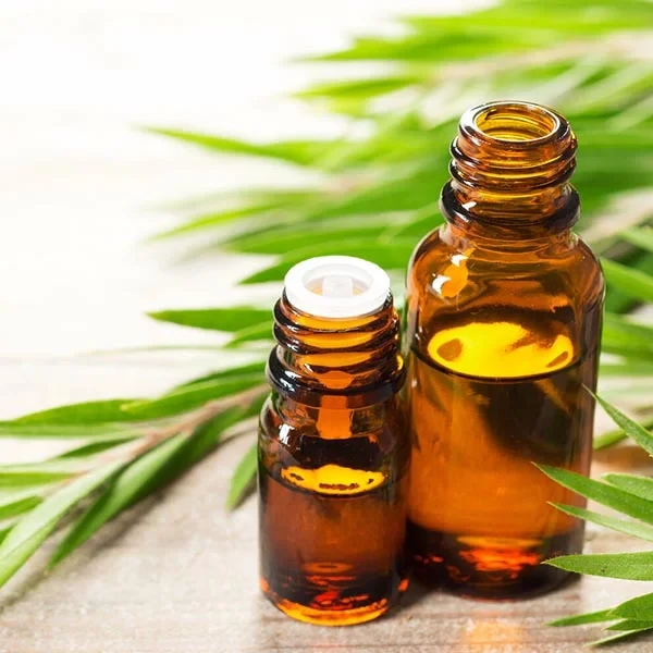 Green Tea Oil