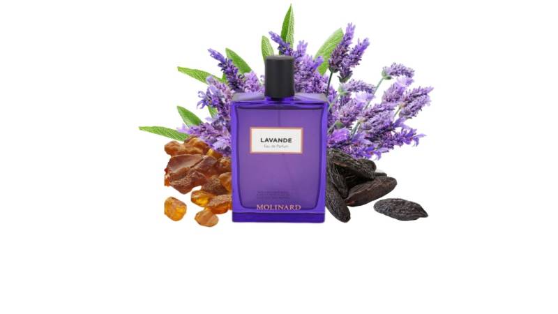 عطر لافندر (مكبسل)