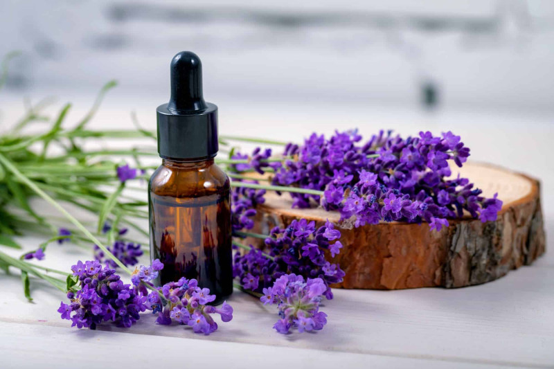 LAVENDER OIL(Spanish)